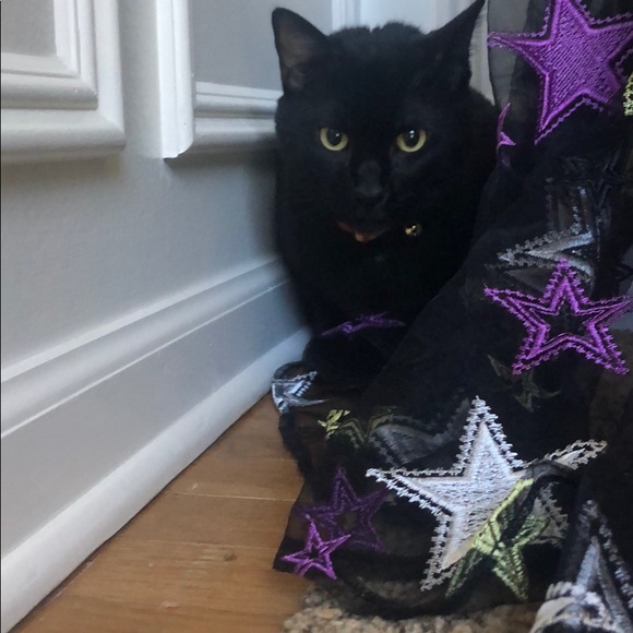 Great Dress for Halloween party - Picture 4 of 5